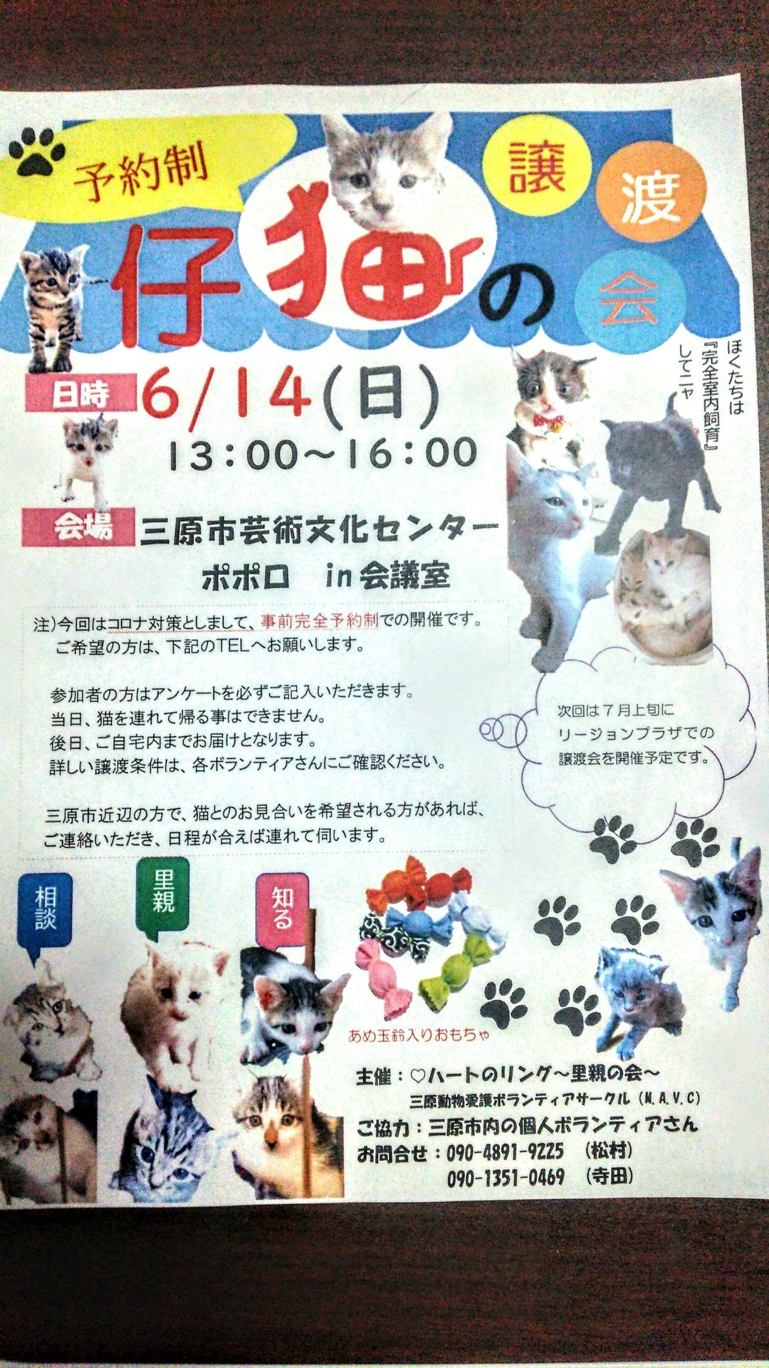 条件 譲渡 の ペット 里親 会